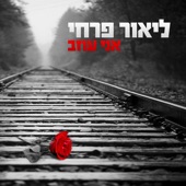 Ani Ozev (אני עוזב) artwork