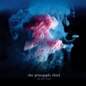 THE PINEAPPLE THIEF - Give It Back