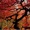 Techno Sound - Alcatraz = Giv Me Luv