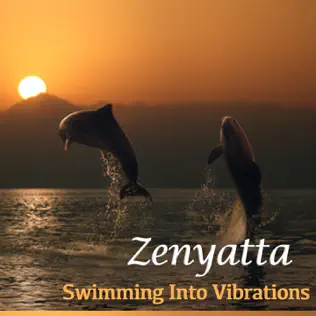 baixar álbum Zenyatta - Swimming Into Vibrations