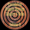 Foundation Deejays Singers & Dubs Vol 8, 2012