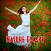Meditation Spa - Drifting Sands With the Sound of Restful Bird Song