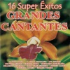 Grandes Cantantes - 16 Super Éxitos, 2007