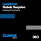 Kebab Surprise - Loopfresh lyrics