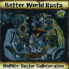 Better World Rasta, 2007