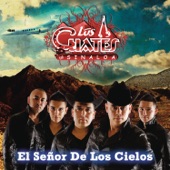 El Señor de los Cielos artwork