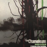 The Chameleons - Things I Wish I'd Said