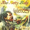 Best of Ras Natty Baby: Evidences