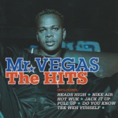 Mr. Vegas - Heads High