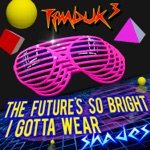 Timbuk 3 - The Future's So Bright, I Gotta Wear Shades (Re-Recorded)