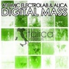 Digital Mass (The Album), 2013