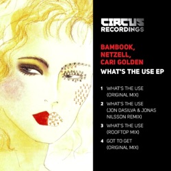 Bambook - What's the Use