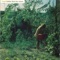 Song of a City (feat. Danielle Moore) - Truant lyrics