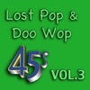 Lost Pop & Doo Wop 45's, Vol. 3, 2013