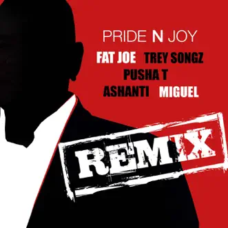 Pride n Joy (Remix) [feat. Trey Songz, Pusha T, Ashanti & Miguel] - Single by Fat Joe album reviews, ratings, credits