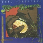 Soul Syndicate - Wicked a Go Feel It