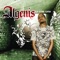 Cashin' Checks - Algenis lyrics