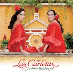 Las Carlotas - A Tu Madre