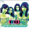Viva - Lekar Hum Deewana Dil