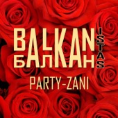 Party-Zani artwork