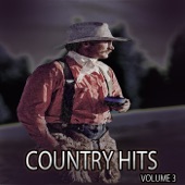 Country Hits, Vol. 3 artwork