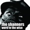 Arlo - the shanners lyrics