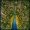 The Bluetones - Slight return