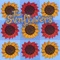 Stone Foundation - The Sunflowers lyrics