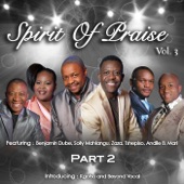 Spirit of Praise, Vol. 3, Pt. 2 artwork