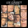 The Leif Garrett Collection artwork