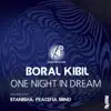 One Night In Dream - Single album lyrics, reviews, download