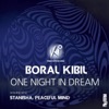 One Night In Dream - Single