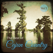 The Best of Cajun Country, Vol. 3 - Verschiedene Interpreten