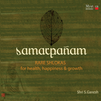 Shri S Ganesh - Apaammrityuhara Stotram – For Longevity & Removal of Diseases artwork