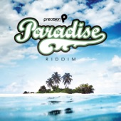 Paradise Riddim (Trinidad and Tobago Carnival Soca 2013) artwork