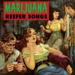 Mr. Sunshine - Marijuana, The Devil's Flower