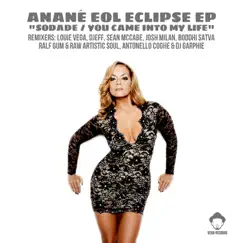 SODADE / You Came Into My Life (feat. Anane) by Elements of Life album reviews, ratings, credits