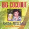 Swimming Pool - Gene Mitchell and the Big Coconut Band lyrics