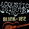 Acoustic Tribute to Blink-182