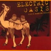Electric Oasis artwork