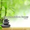 Ageless - Cane Garden Quartet lyrics