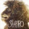 All Things Around the Sun - Shapiro lyrics
