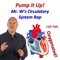 Pump It up! (Mr. W's Circulatory System Rap) - Glenn Wolkenfeld lyrics