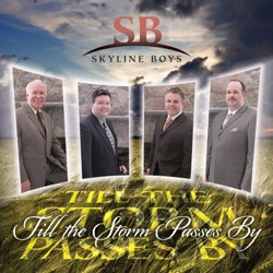Skyline Boys - Everytime He Drove A Nail