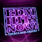 EDM Hits Now! - Here I Come