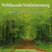 Wohltuende Waldstimmung: Heilsame Naturgeräusche - Kings of Nature