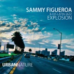 Sammy Figueroa & His Latin Jazz Explosion - Latin What?