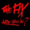 Are You In? - The Fix lyrics