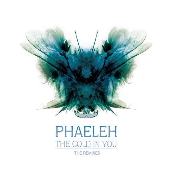 Cover artwork for The Cold in You