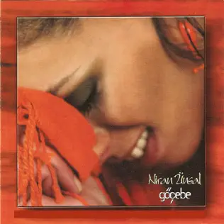 télécharger l'album Niran Ünsal - Göçebe